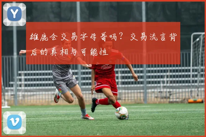 雄鹿会交易字母哥吗?交易流言背后的真相与可能性
